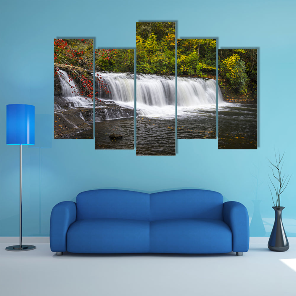 Dupont State Forest Waterfall Canvas Wall Art