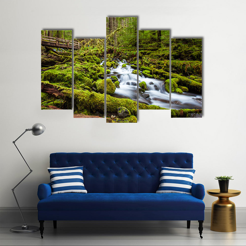 Sol Duc Falls Trail In Olympic National Park Canvas Wall Art