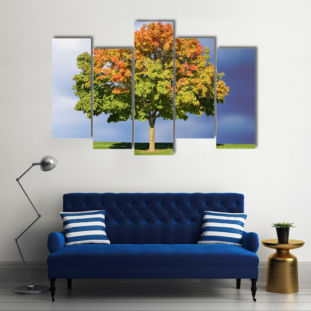 Maple Tree In Autumn Canvas Wall Art