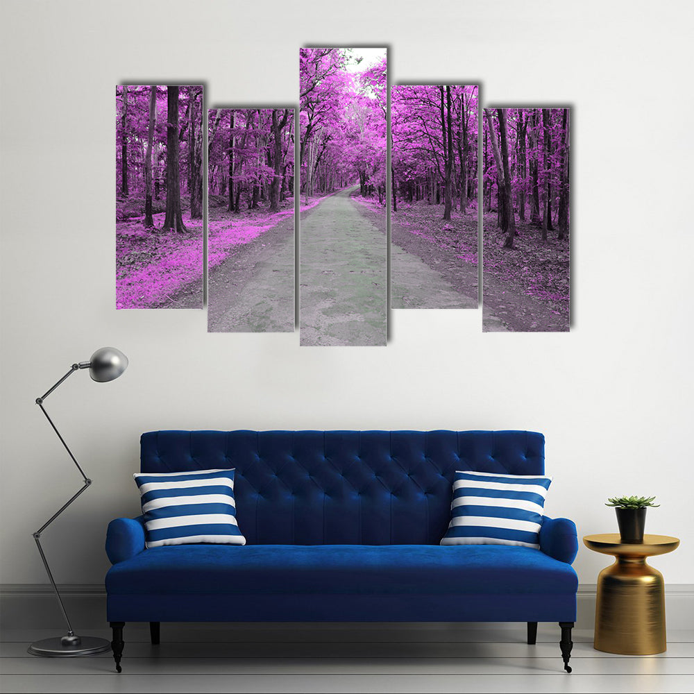Forest Road In Autumn Canvas Wall Art
