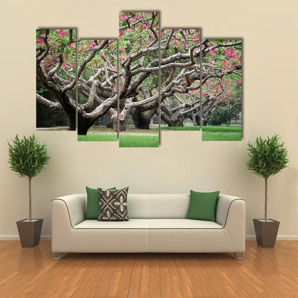 Peach Trees With Blooming Pink Flowers Canvas Wall Art