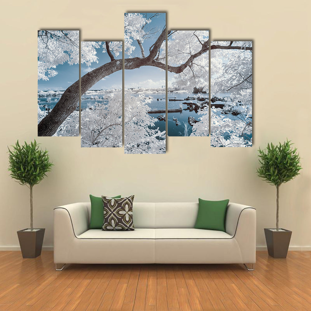 Landscape Of Forest And Pond Canvas Wall Art