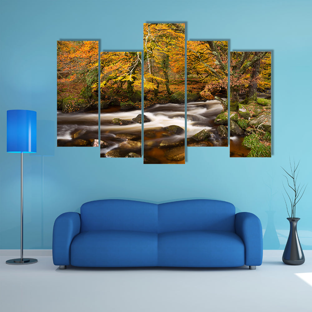 Autumn River in Dartmoor, Devon Canvas Wall Art