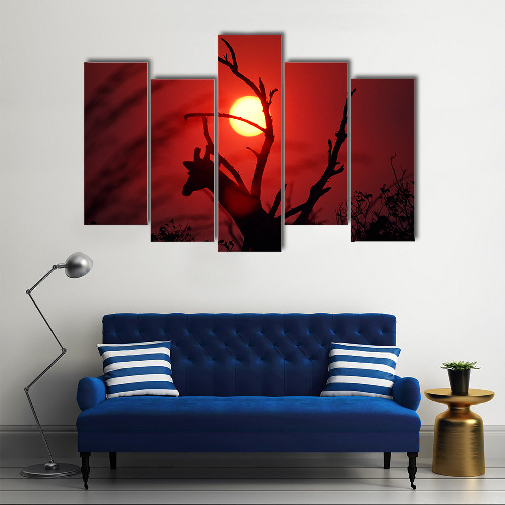 An African Sunset In Mikumi Forest Tanzania Canvas Wall Art