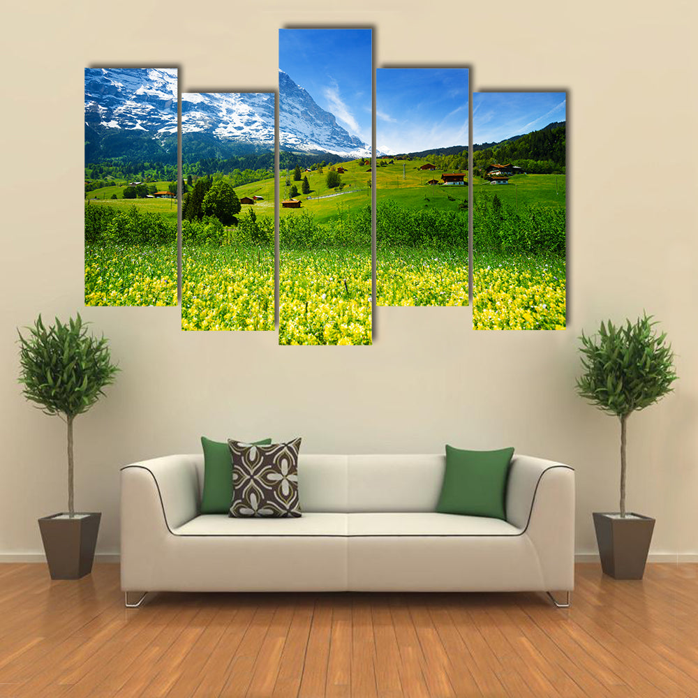 Swiss Alpine Wildflower Meadow Canvas Wall Art