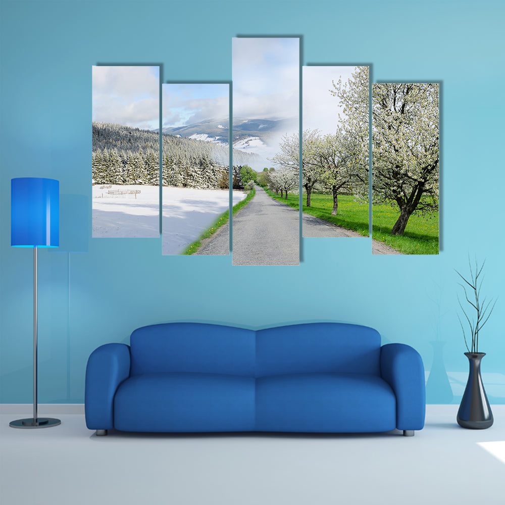 Road Between Winter and Spring Canvas Wall Art