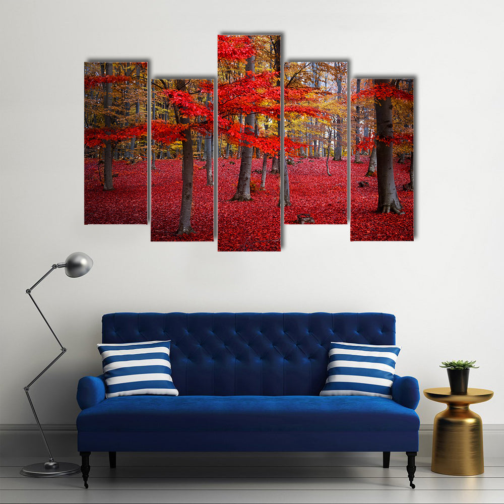 Red Trees In The Forest During Fall Canvas Wall Art