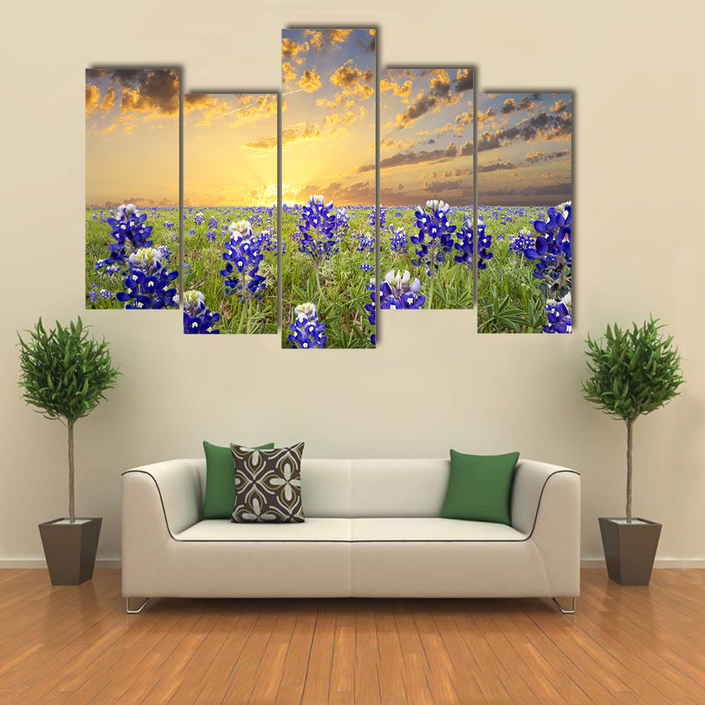 Bluebonnets In The Texas Hill County Canvas Wall Art