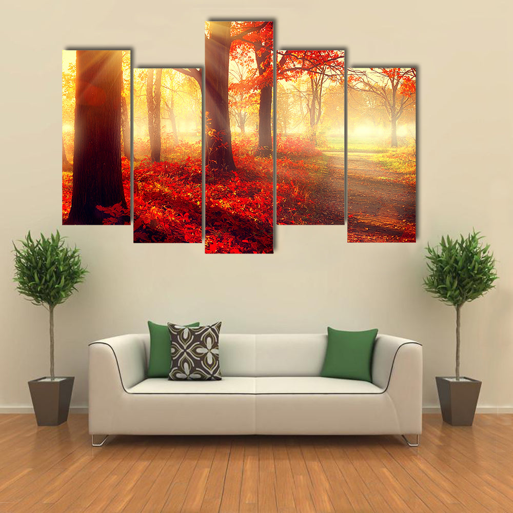 Autumn Park in Morning Sun Canvas Wall Art