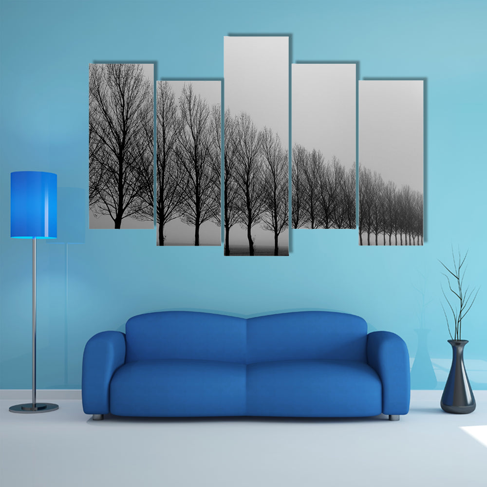 Autumn Trees in Mist Canvas Wall Art