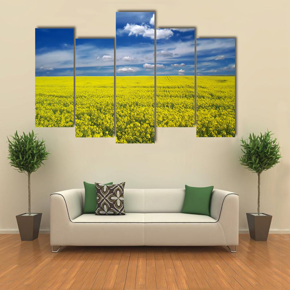 Golden Canola Field Canvas Wall Art