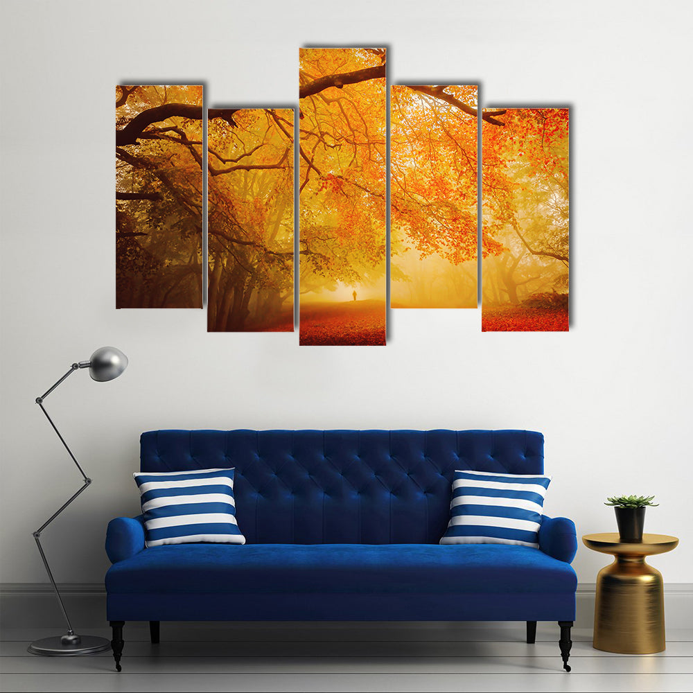 Seasonal Forest Fall Walk Canvas Wall Art