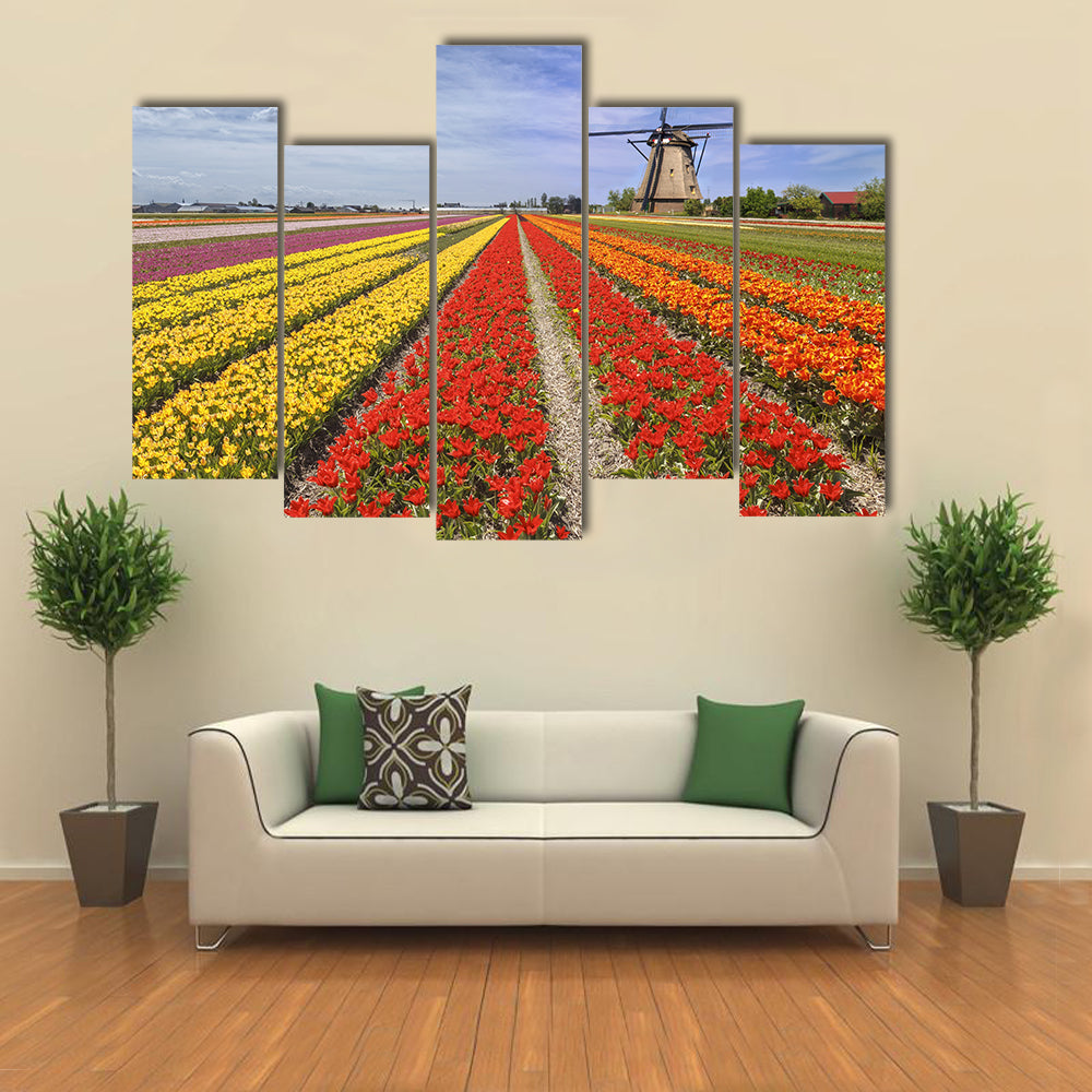 Colorful Dutch Tulip Fields with Windmill Canvas Wall Art
