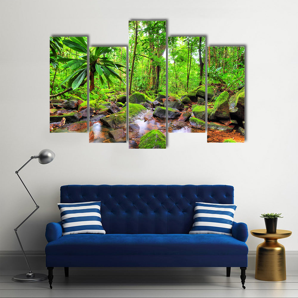 Masoala National Park in Madagascar Canvas Wall Art