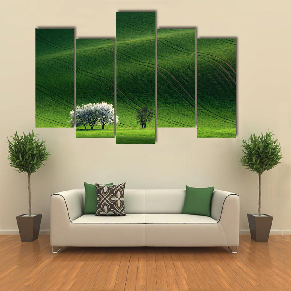 Moravian Green Rolling In Czech Republic Canvas Wall Art