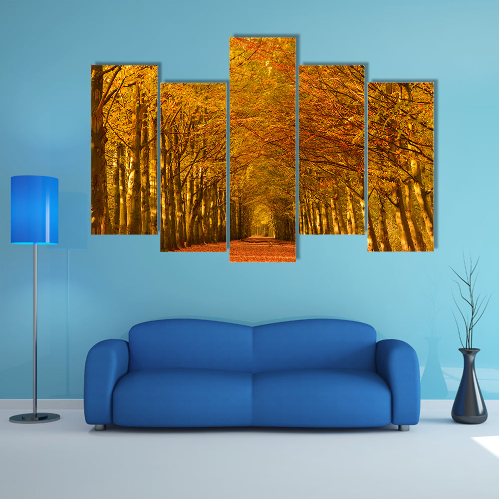 Autumn Forest Lane Canvas Wall Art