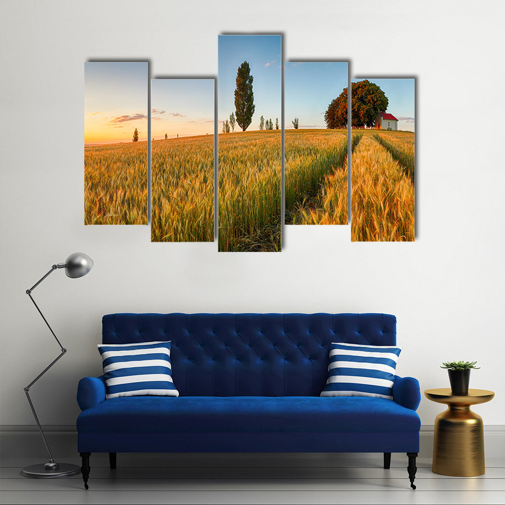 Summer Wheat Field at Golden Hour Canvas Wall Art