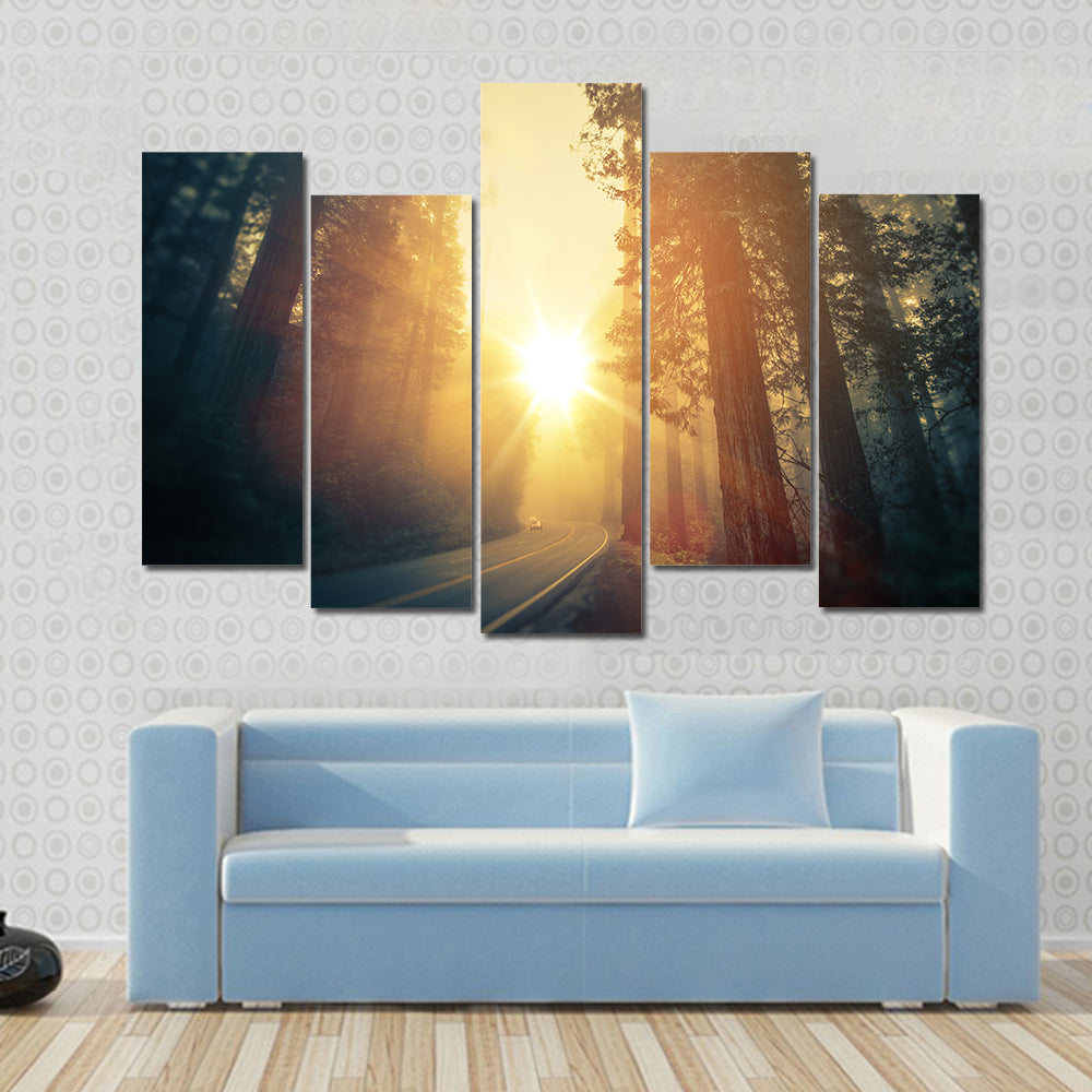 Foggy Redwood Forest Road Canvas Wall Art