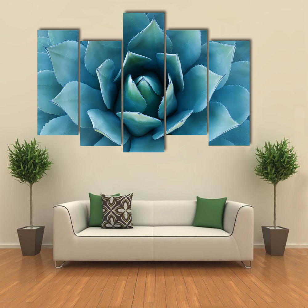 Closeup Of An Agave Plant Canvas Wall Art