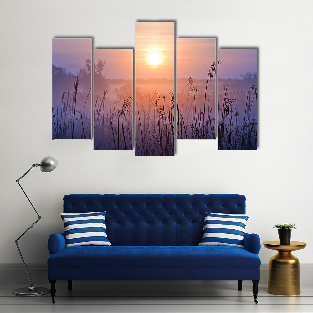 Shallow Depth Of Field At Sunset Canvas Wall Art