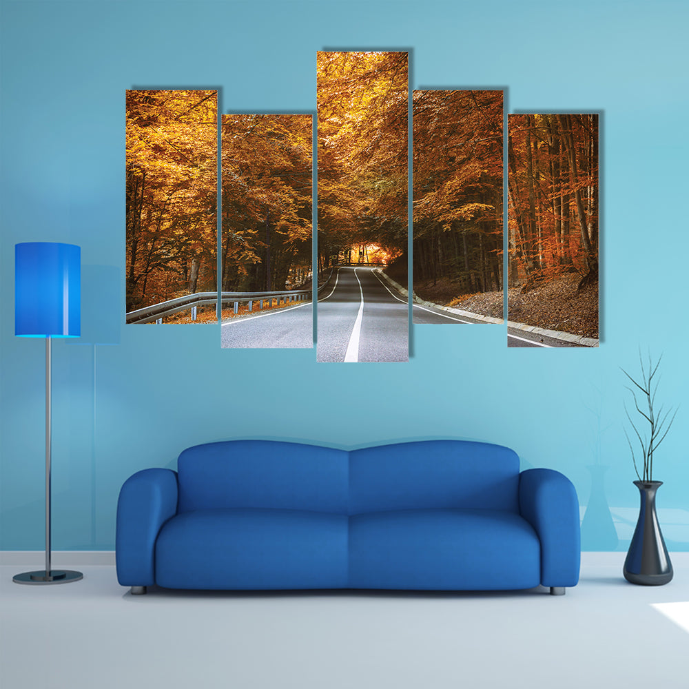 Forest Road in Autumn Canvas Wall Art