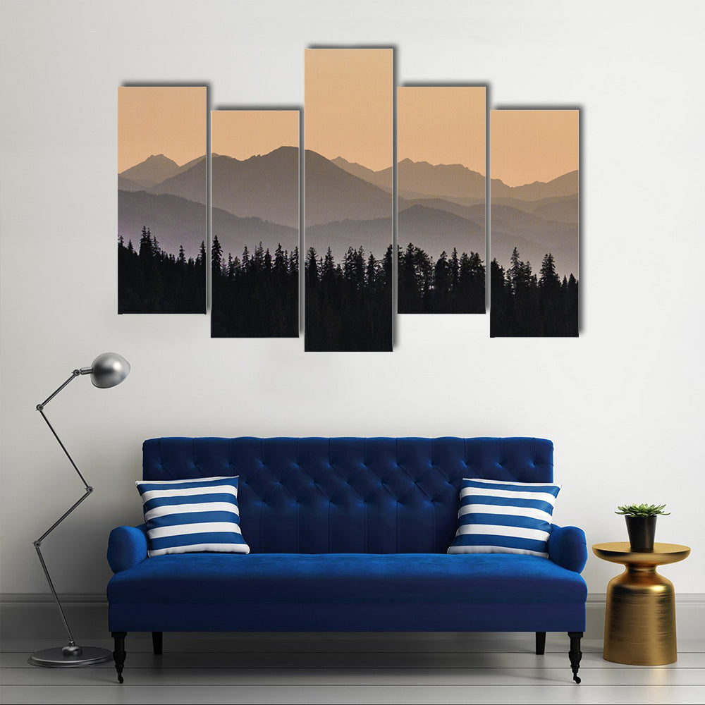Early Morning Mist On Forest Mountain Canvas Wall Art