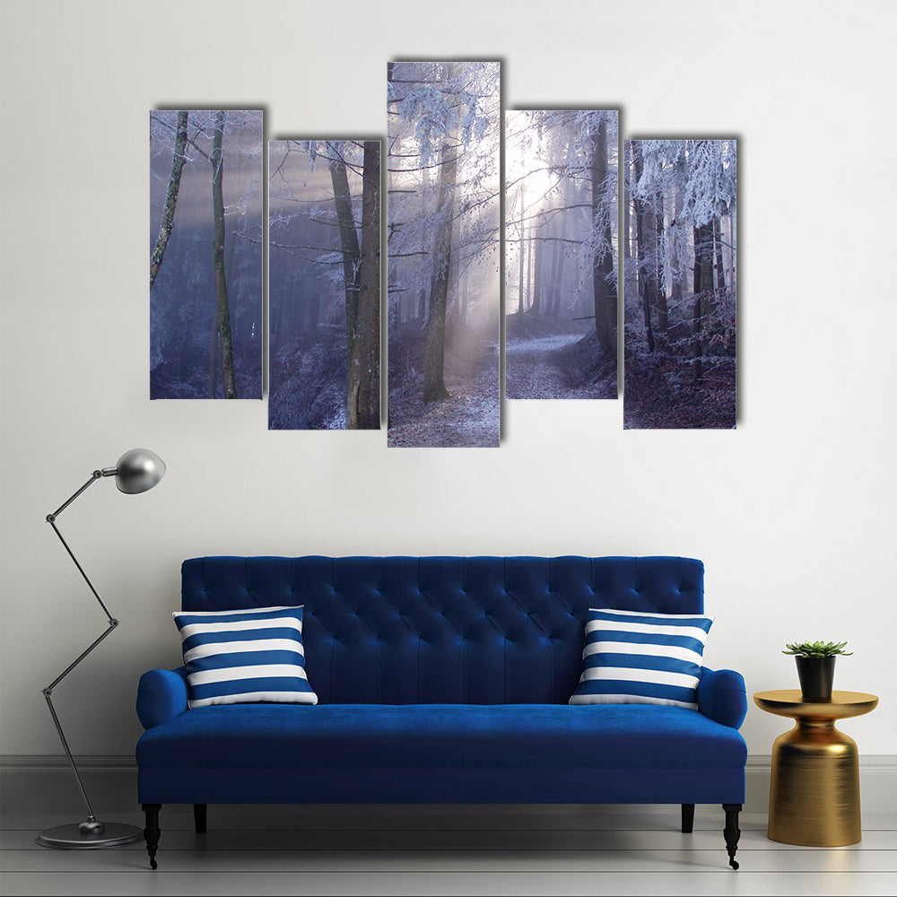 Mystic Forest Track Canvas Wall Art