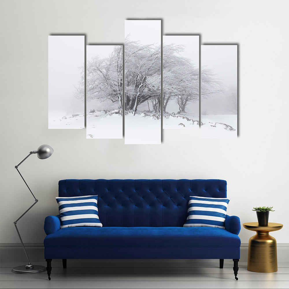 Foggy Winter Landscape In The Forest Canvas Wall Art