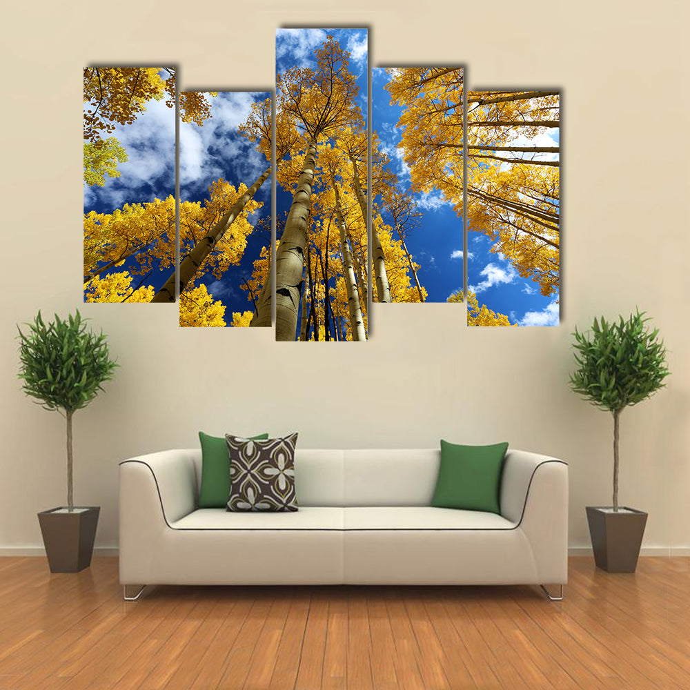 Golden Autumn Aspen Canopy Canvas Wall Art