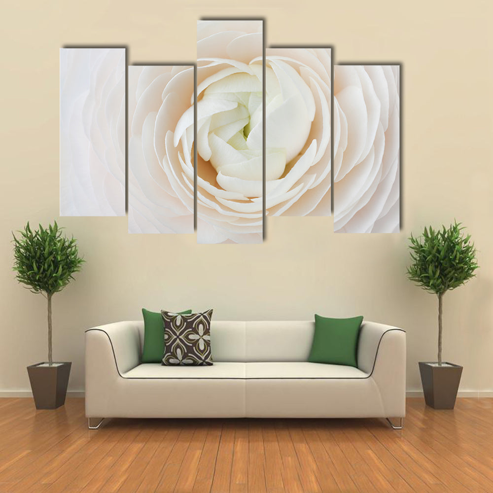 Closeup of Ranunculus Flower Canvas Wall Art