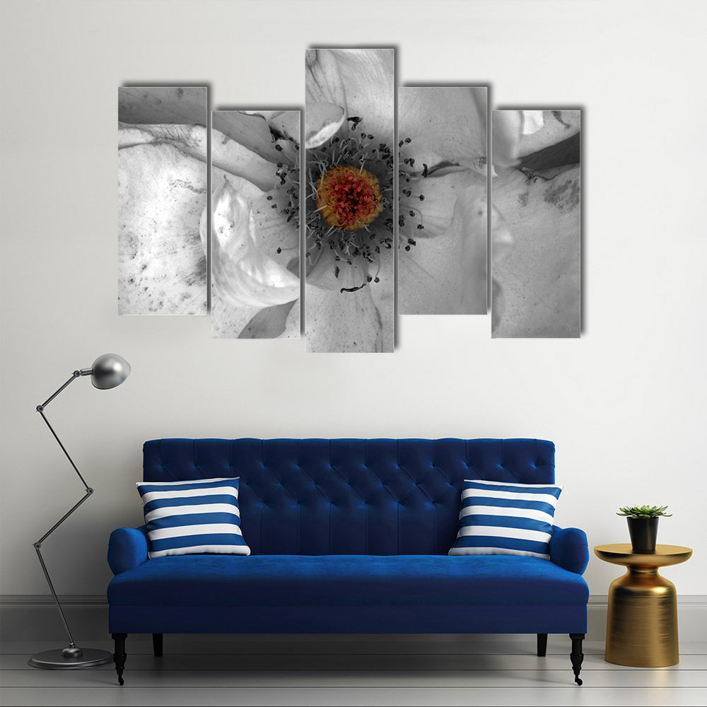 Selective Color Macro Flower Canvas Wall Art