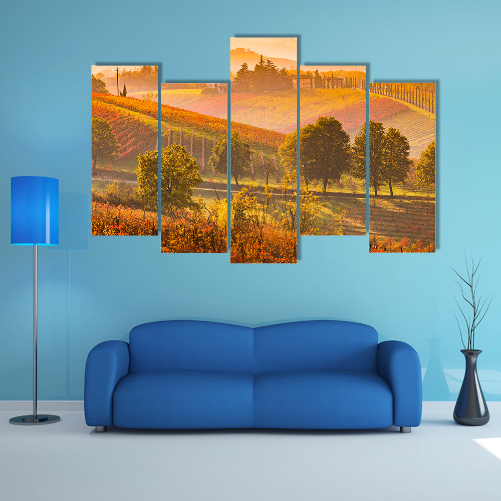 Italian Vineyards and Rolling Hills Canvas Wall Art