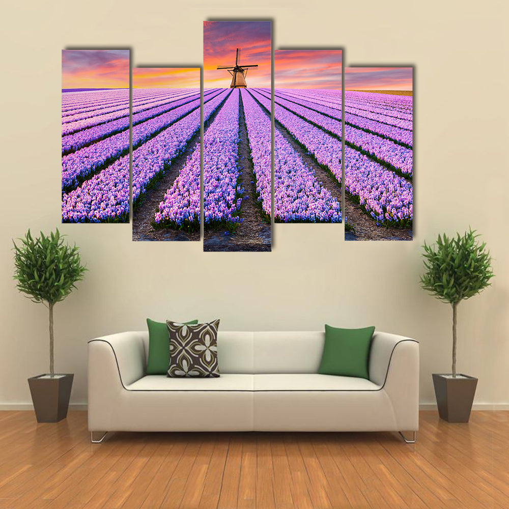 Spring Scene On The Flowers Farm In Netherlands Canvas Wall Art