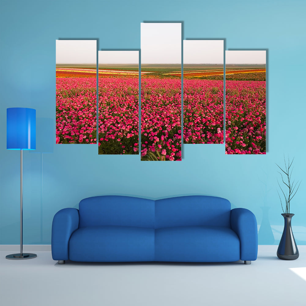 Field of Spring Flowers Canvas Wall Art