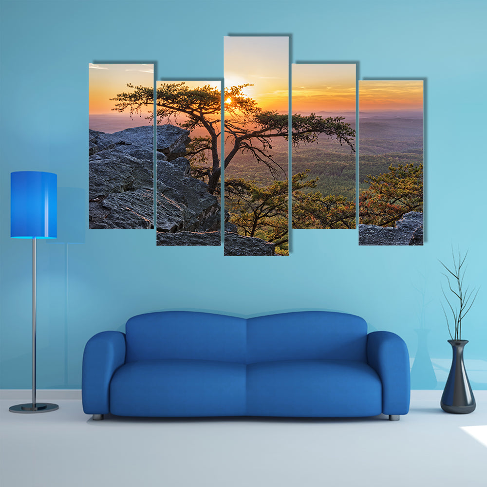 Gnarled Tree at Sunset Overlook Canvas Wall Art