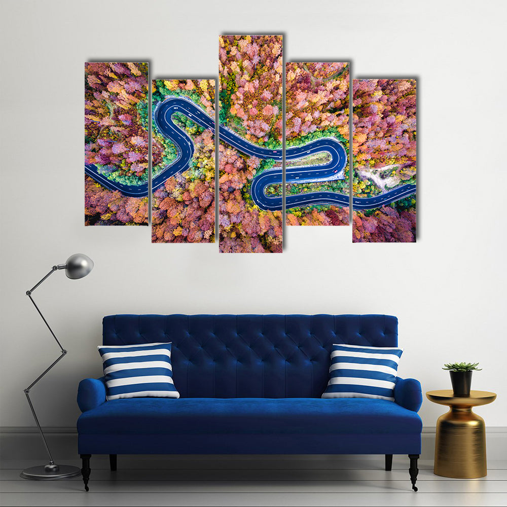 Curved Winding Road Through The Forest Canvas Wall Art