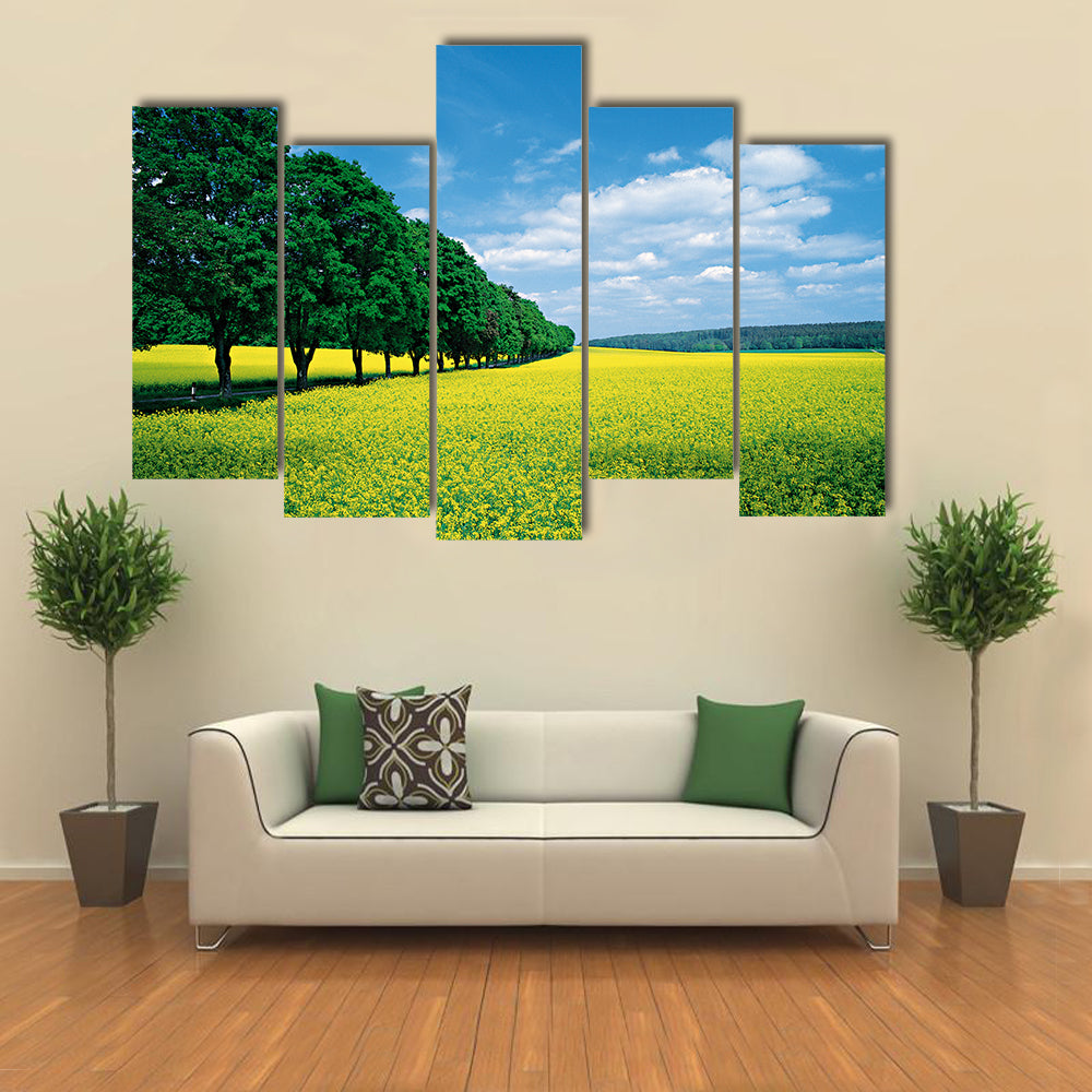 Spring Fields And Allee In Summer Canvas Wall Art