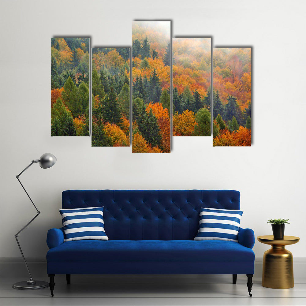 Foggy Autumn Forest In Romania Canvas Wall Art