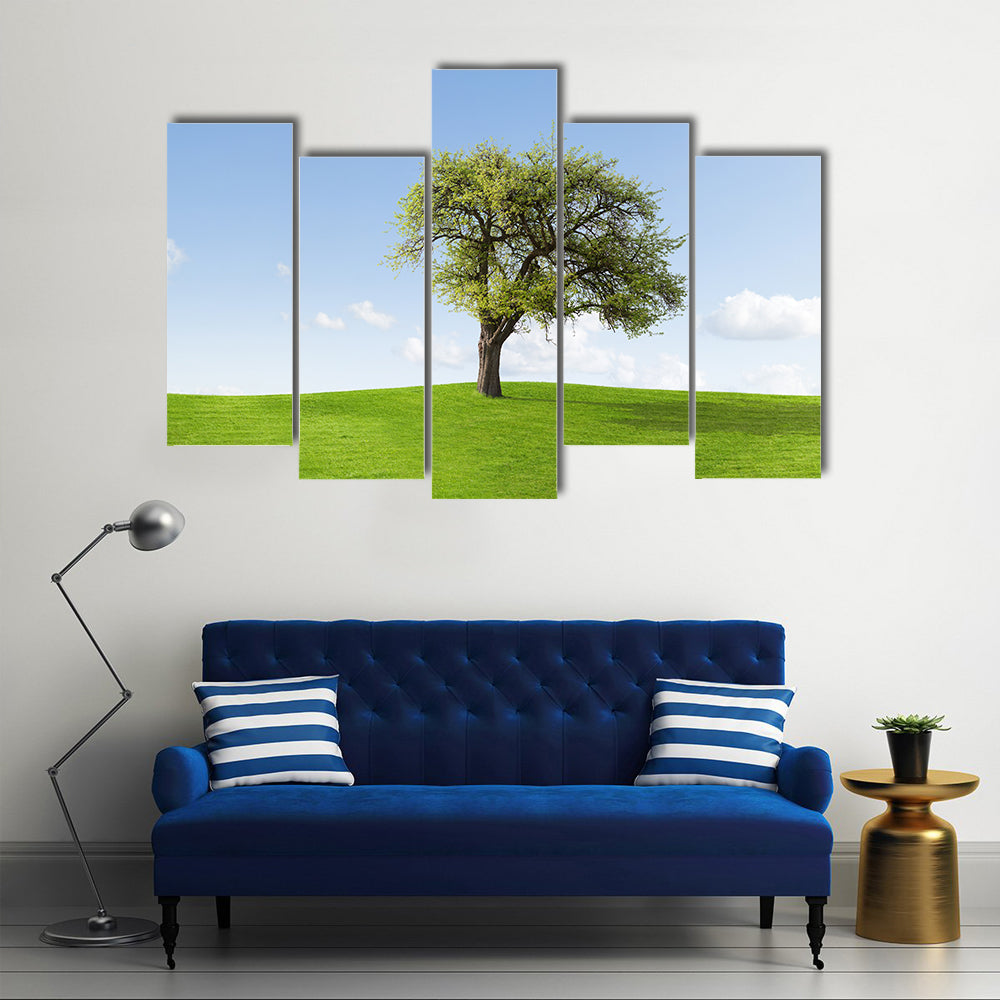 Solitary Tree on Sunny Green Hill Canvas Wall Art