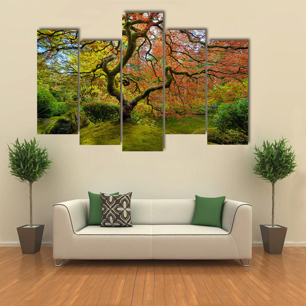 Gnarled Japanese Maple Tree in Portland Canvas Wall Art in red, orange and green, framed print, product view on a white background