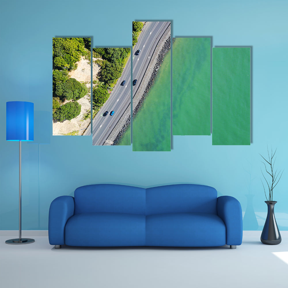Coastal Road in Auckland Canvas Wall Art