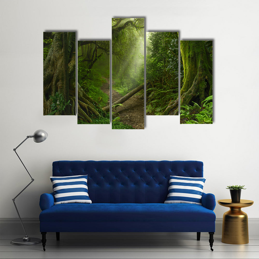 Asian Rain Forest With Sun Rays Canvas Wall Art