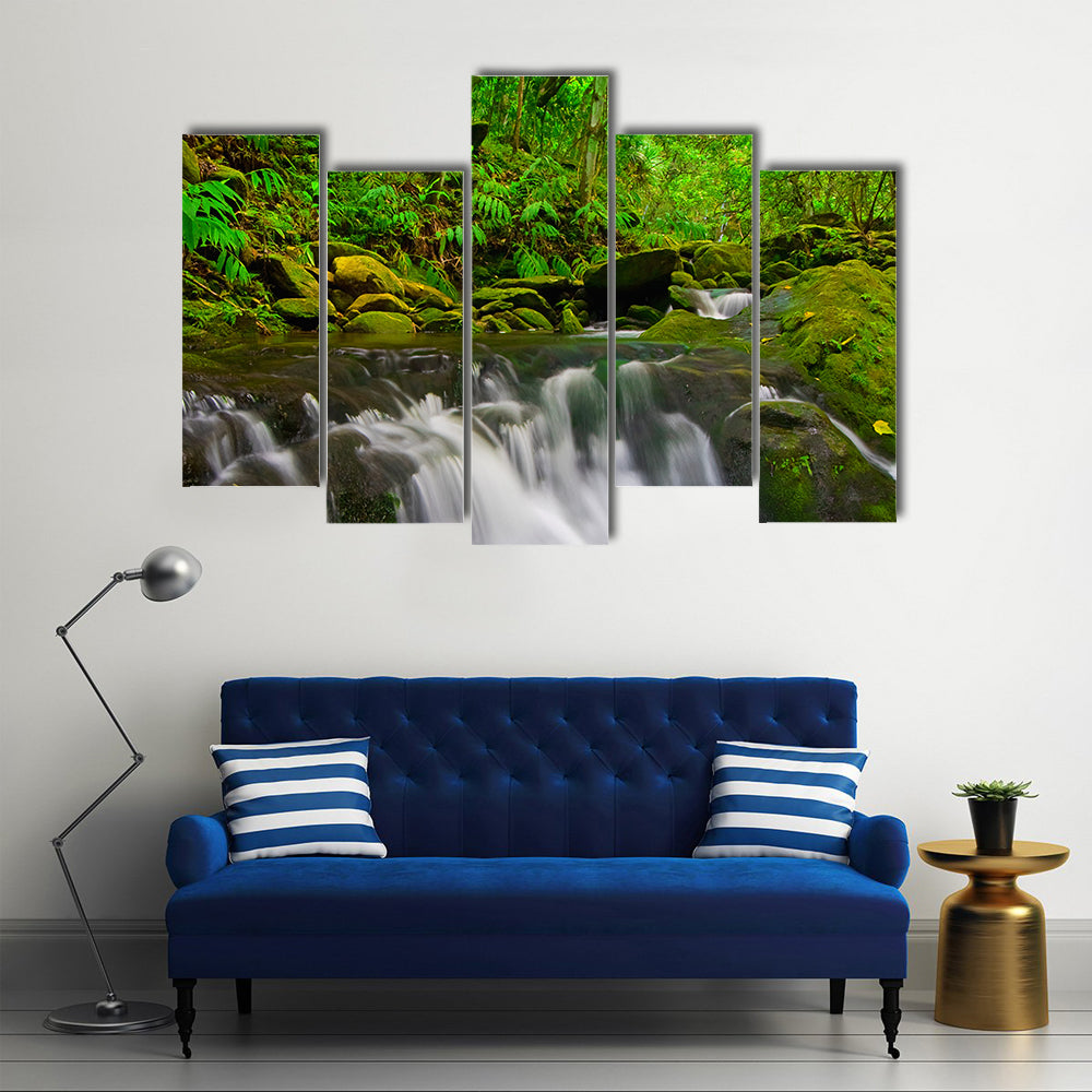 Stream Flowing Through Lush Jungle In Maui Hawaii Canvas Wall Art