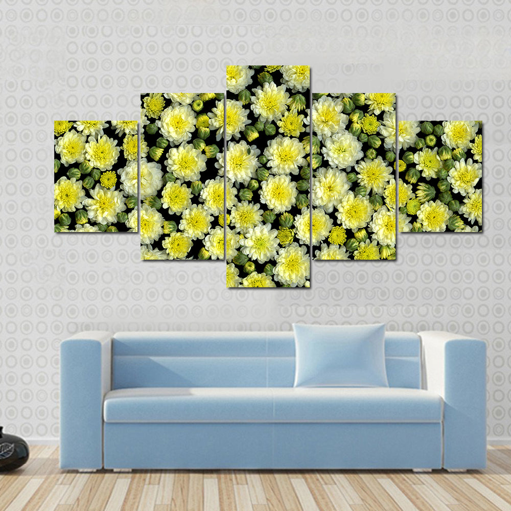 Yellow and White Chrysanthemums Canvas Wall Art