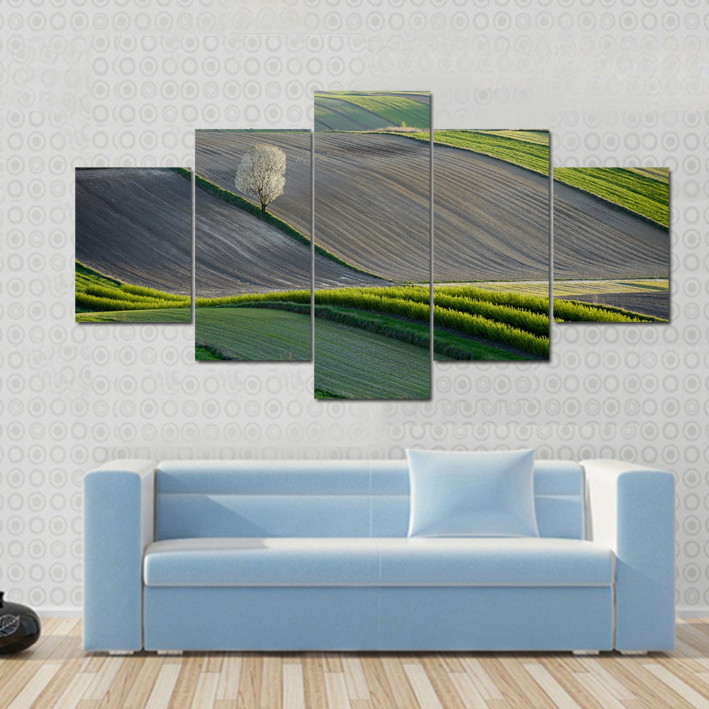 Wavy Fields In Poland Canvas Wall Art
