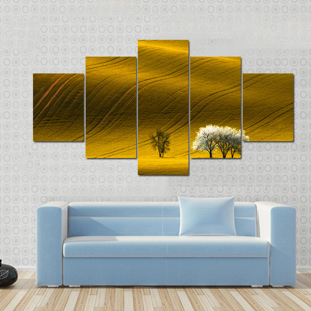 Spring Wavy Yellow Rapeseed Field Canvas Wall Art