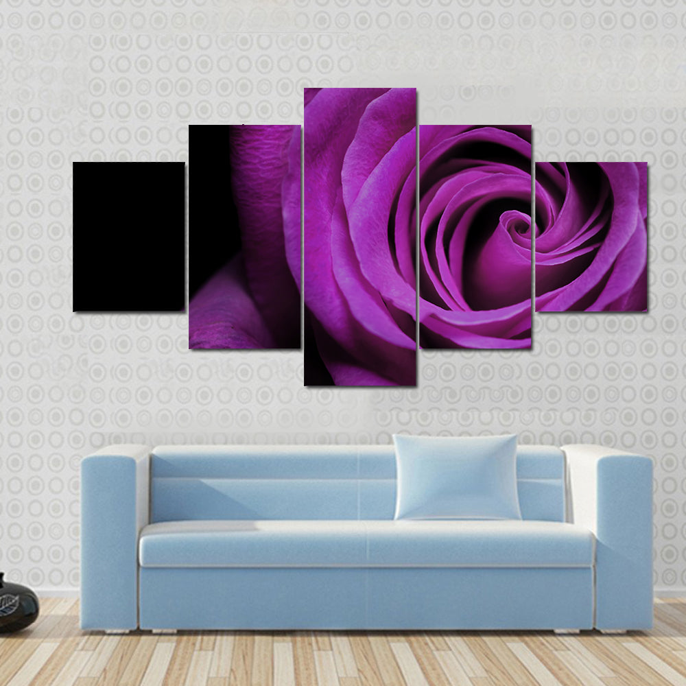 Purple Rose Close-Up Canvas Wall Art