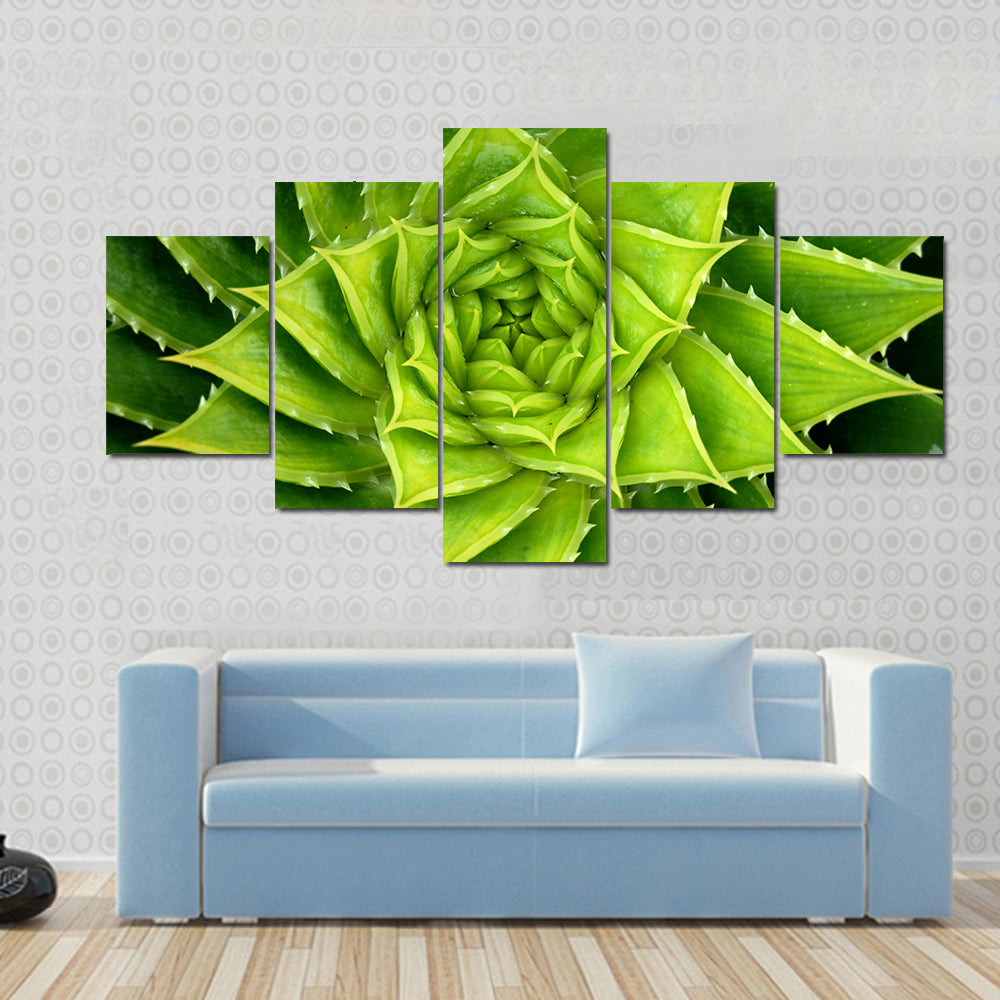 Vivid Green Spiral Aloe Plant Canvas Wall Art
