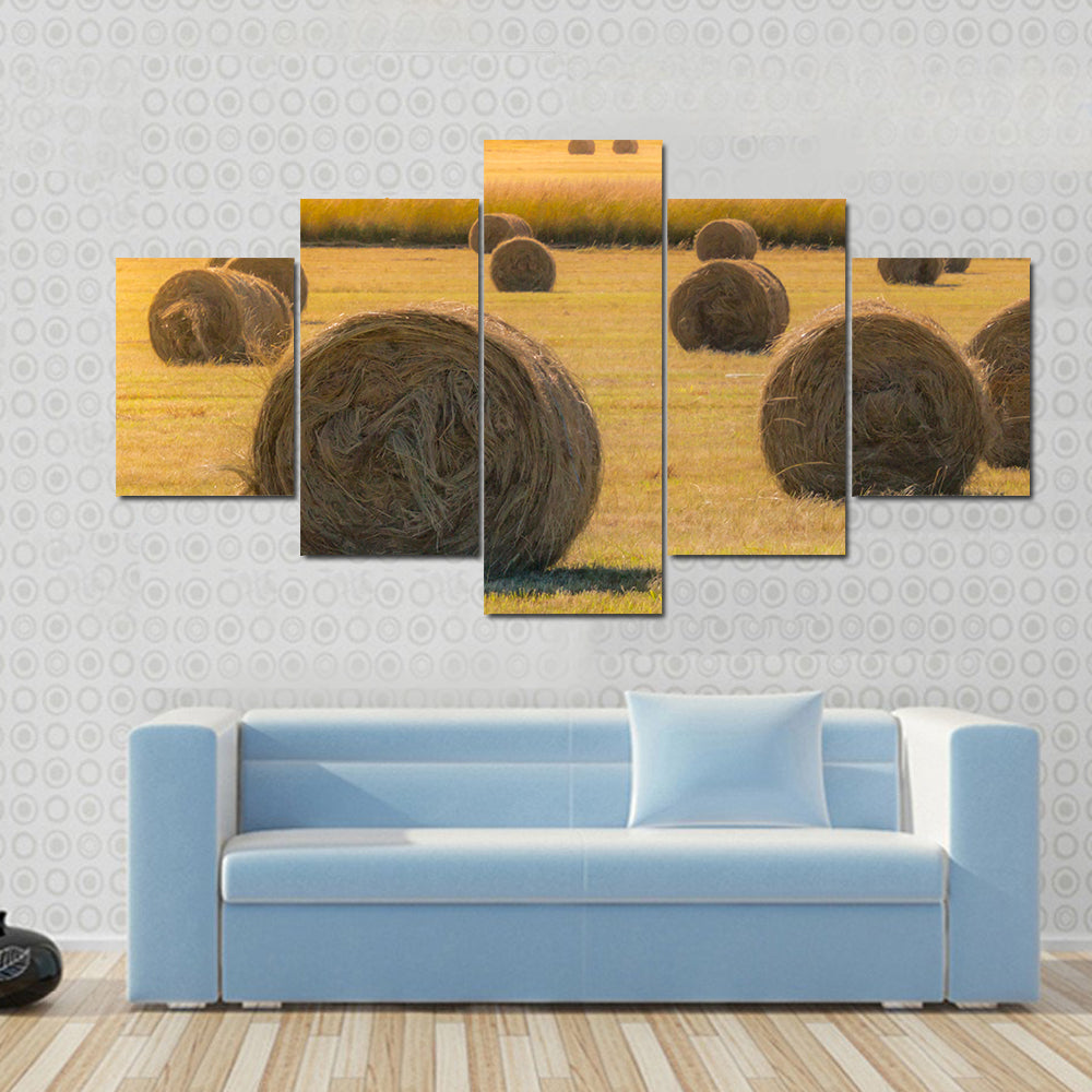 Hay Bales On Golden Field At Sunset Canvas Wall Art