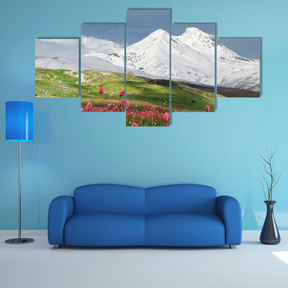 Blooming Flowers in Alpine Meadow Canvas Wall Art
